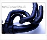 Radiator Cooling System Water Hose