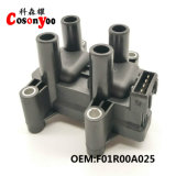 Anshan System Ignition Coil, Ignition Assembly, OEM: F01r00A025,