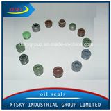 Xtsky Valve Stem Seal (SE01-10-155)