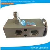 OE No. 1000293540 Txv Thermal Expansion Valve