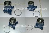 Water Pump Me088301 Me993520 Me996874 Me088537 for 6D31t (OLD) Excavator Sk200-3 /5/ 6 HD700-5