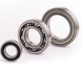 Deep Groove Ball Bearing, Electric Motor Bearing 6000 6200 6300 Zz 2RS C3 Series