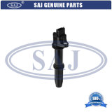 Hot Sale Ignition Coil 2112-3705010-11 for Lada