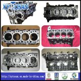 Cylinder Block for Toyota 2tr/ 3L/ 5L/ 4y/ 2L/ 22re (ALL MODELS)