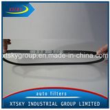 Iveco V Belt (AV13-1200)