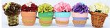 Latest Fashion Decoration Flower Car Air Freshener (JSD-G0002)