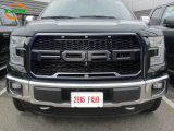 Front Grill Grille for Ford F150 2015/2016