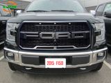 Front Grill Grille for Ford F150 2015/2016