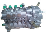 Fuel Injection Pump for Diesel Engine F4l912