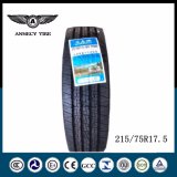 Wholesale Radial Tire/ Tyre for Truck (205/75r17.5 215/75r17.5 225/70r19.5)