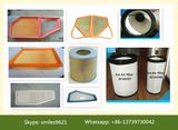 China Auto Air Filter Manufacturer