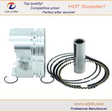 Motor Piston and Piston Ring, Motorcycle Piston Kits for Motor Engine Parts