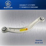 Car Upper Rear Axle Control Arm for Mercedes Benz and BMW China Famous OEM Supplier
