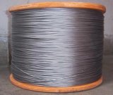 Stainless Steel Wire Rope 304