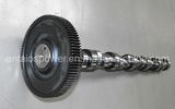 Camshaft of Deutz Engine Bf6m1013