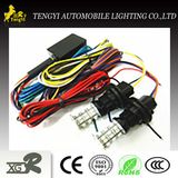 LED Car Turn Light for Toyota Alphard 20 Series 36SMD