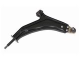 Land Rover Control Arm Rbj102450