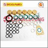 Repair Kits for Ve Pumps-Injection Pump Rebuild Kit
