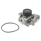 Auto Water Pump (074 121 004A) for Audi, Vw