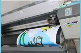 Customized Sticker Printing Promotional Sticker for Advertising