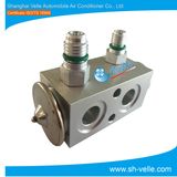 Hwe0500 Auto A/C Aluminum Expansion Valve