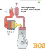 Bd Diesel Performance Killer-B Single Turbo Kits