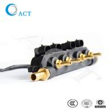 CNG LPG Common Injector Rail High Pressure Fuel Gas Injector