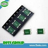 (1206, 2920) Glass Tube Fuse SMD Fuse