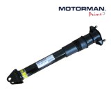 OEM 2513202231 Rear Air Suspension Shock Absorber for Mercedes Benz R-Class W251 V251 R280 R300