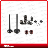 Motorcycle Engine Parts Motorcycle Valve Set for Arsen150 Motorcycle Valve