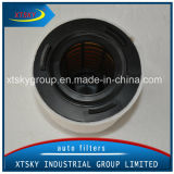 Hot Sale China Supplier Auto Parts Air Filter (6R0129620A)