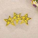 Star Shaped Hanging Car Air Freshener with Different Fragrance (YH-AF500)