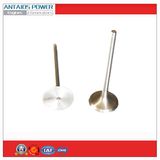 Intake Valve for Diesel Engine Parts