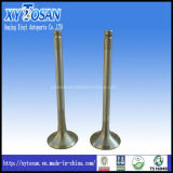 Intake&Exhaust Engine Valve for FIAT (All Models)