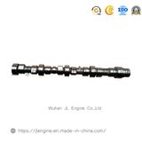 Camshaft for 4b Engine 3929039 3925582 for Cummins Cylinder