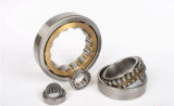 Nup310 Cylindrical Roller Bearing