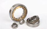 Nup310 Cylindrical Roller Bearing