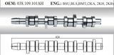 Auto Camshaft for VW (038.109.101ah)