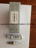 Germany Car Model Spark Plugs 04c905616 with Iridium Materiel