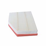 Auto Filter Manufacturer Supply Air Filter 13717521033