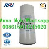 20430751 High Quality Fuel Filter for Volvo (20430751)