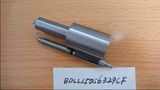 Injector Nozzle (BDLL150S6329CF,BDLL150S6507,L017PBB,LO14PBB,s6556)