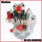 Cummins Fuel Pump, Cummins Diesel Mechanical Fuel Pump 3655644