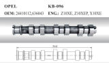 Auto Camshaft for Opel (24410112 636043)