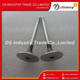 Yc6108zqb Yuchai A3000-1007011 Intake Valve
