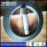 Crown Wheel and Pinion Set Used for Auto Car and Heavy Truck