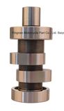 Motorcycle Parts Motorcycle High Quality Cam (GY6-125 KCW125 CB-125 BIZ-125 CT-100 AX4-125 MIO BIZ-100)