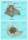 Water Pump/Auto Parts/Truck Parts