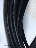 SAE 30r9 Fuel Hose for Auto Engine Injection System