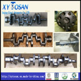 Steel/Metal Crankshaft for Nissan Engine (OEM12200-97511 12200-97570 12200-97607)